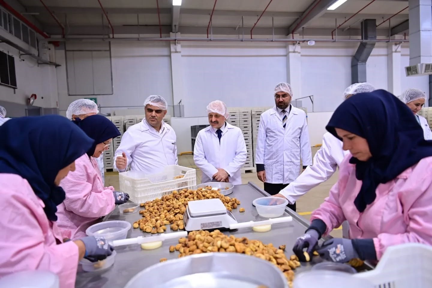 Vali Varol, Nazilli’de incelemelerde bulundu