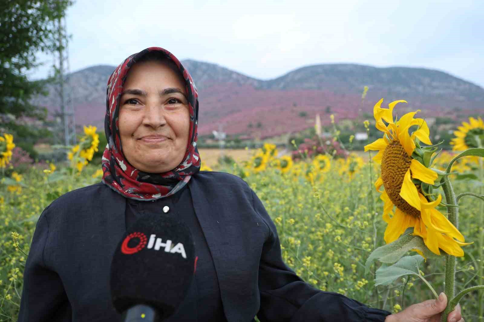 Kozan’da dağlar pembeye, ova günebakanlarla sarıya büründü