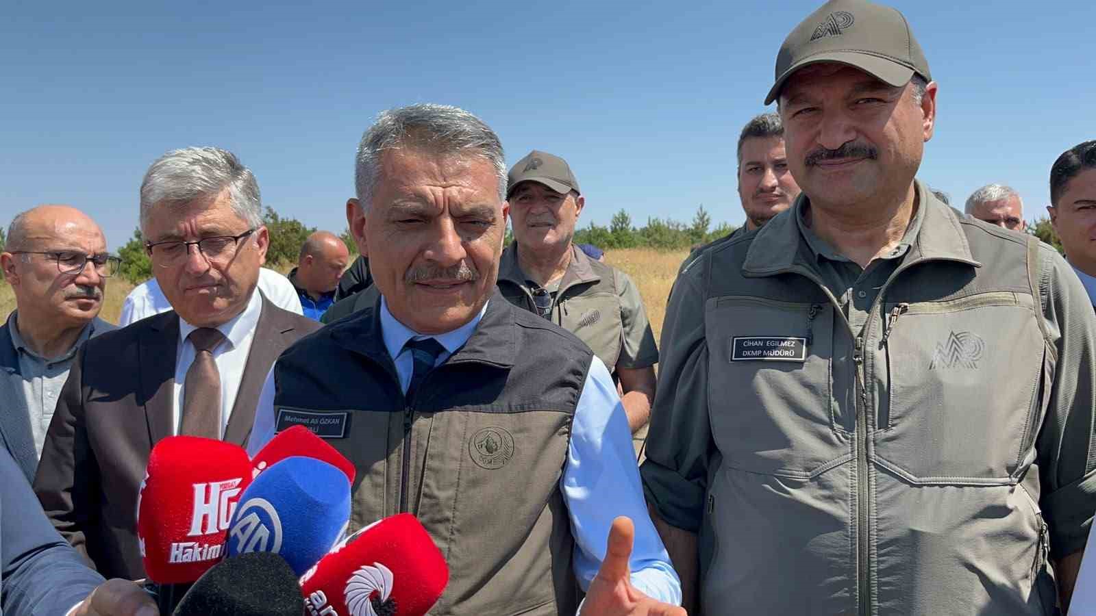 Çamlık Milli Parkı’nda bin keklik doğaya kanat çırptı