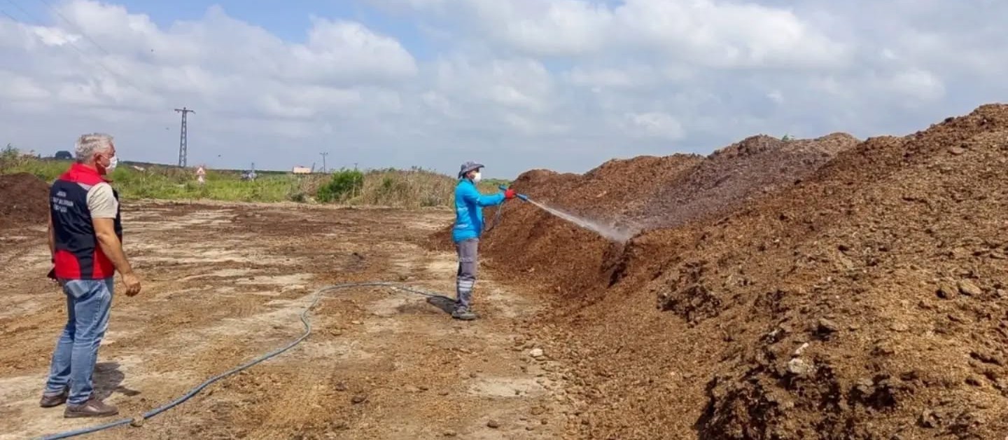 Adana’da Akdeniz meyve sineğiyle mücadele sürüyor