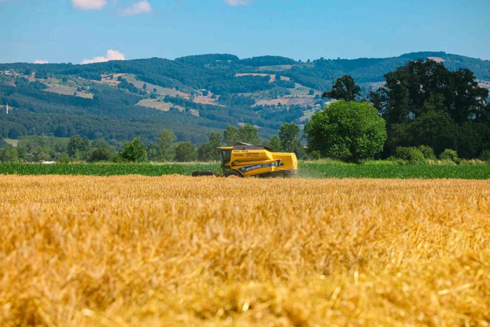 Kocaeli’de çiftçilere yüzde 50 hibeli destek