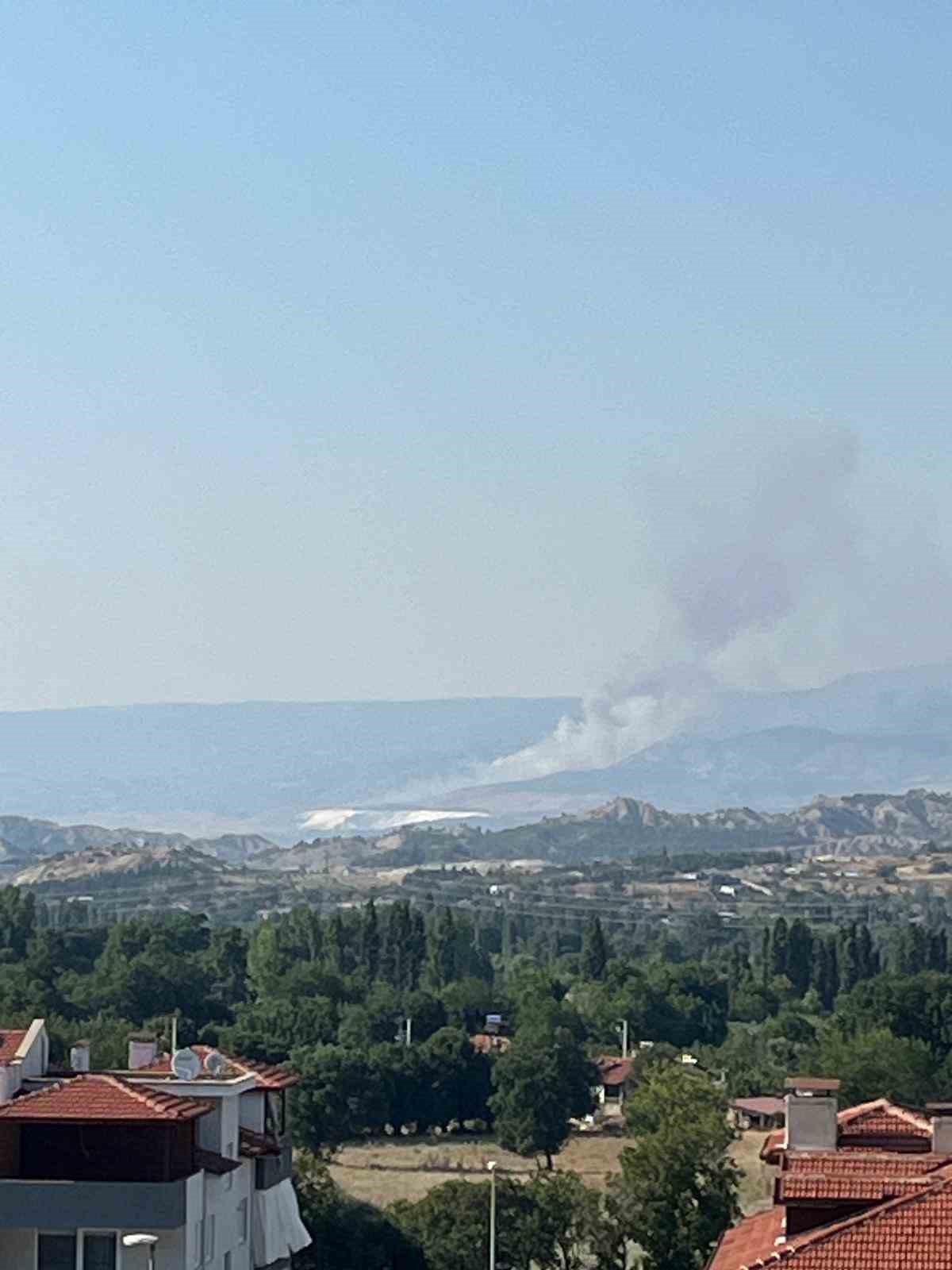 Hierapolis Antik Kent yakınında &ouml;rt&uuml; yangını