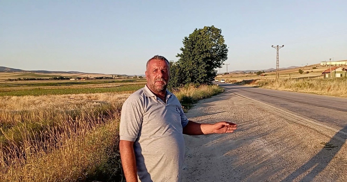Tokat&rsquo;ta binlerce kurbağa kara yolunu istila etti