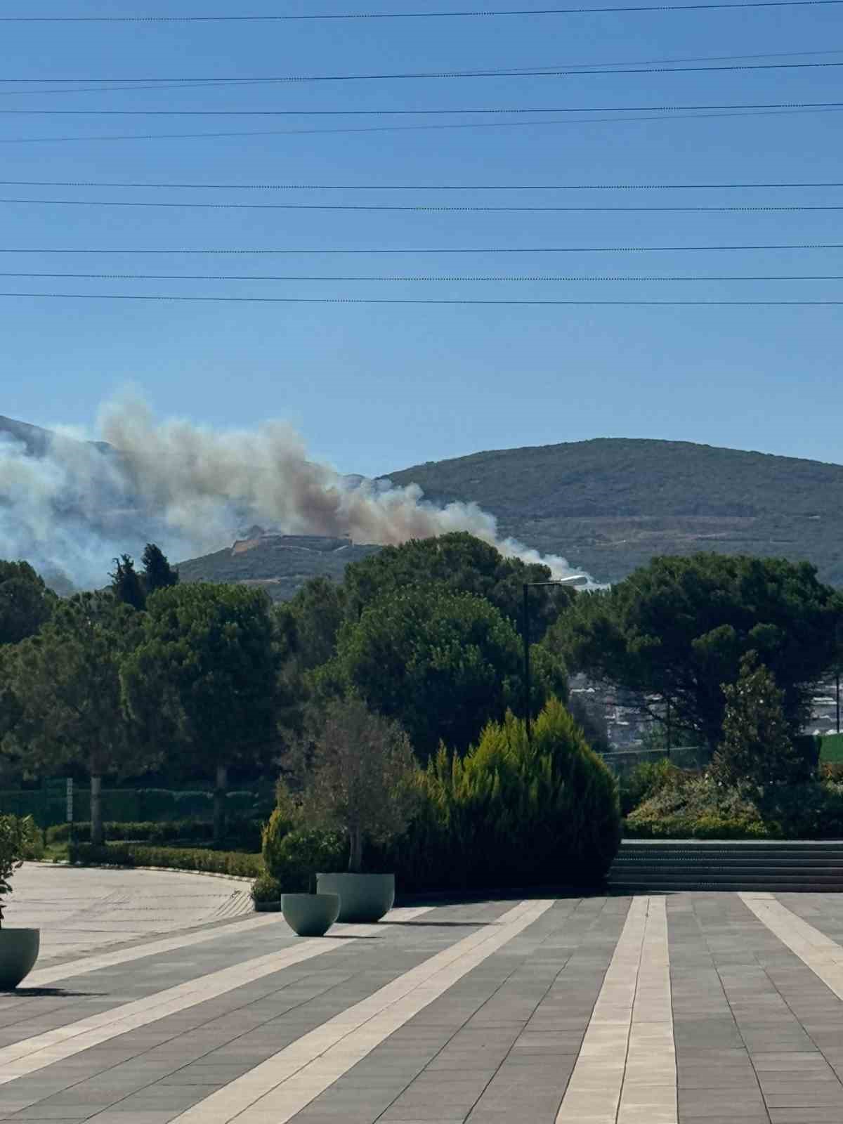 Bursa’da ormanlık alanda yangın çıktı