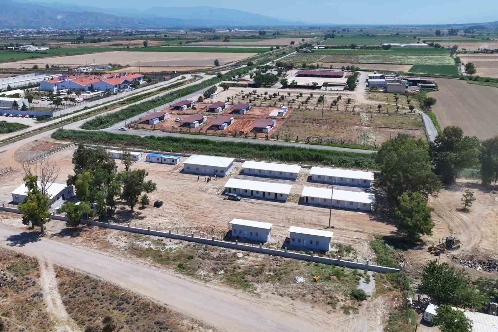 Efeler Belediyesi&rsquo;nden sokak hayvanları i&ccedil;in yeni yaşam alanı