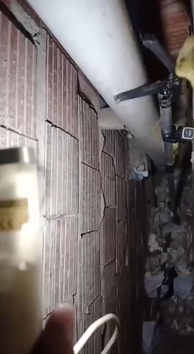 Alanya’da havalandırma bacasına düşen kedi ekipler tarafından kurtarıldı