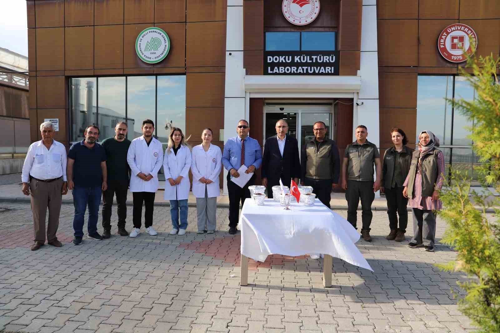 F&Uuml;&rsquo;de &uuml;retilen endemik bitkiler doğaya kazandırılıyor
