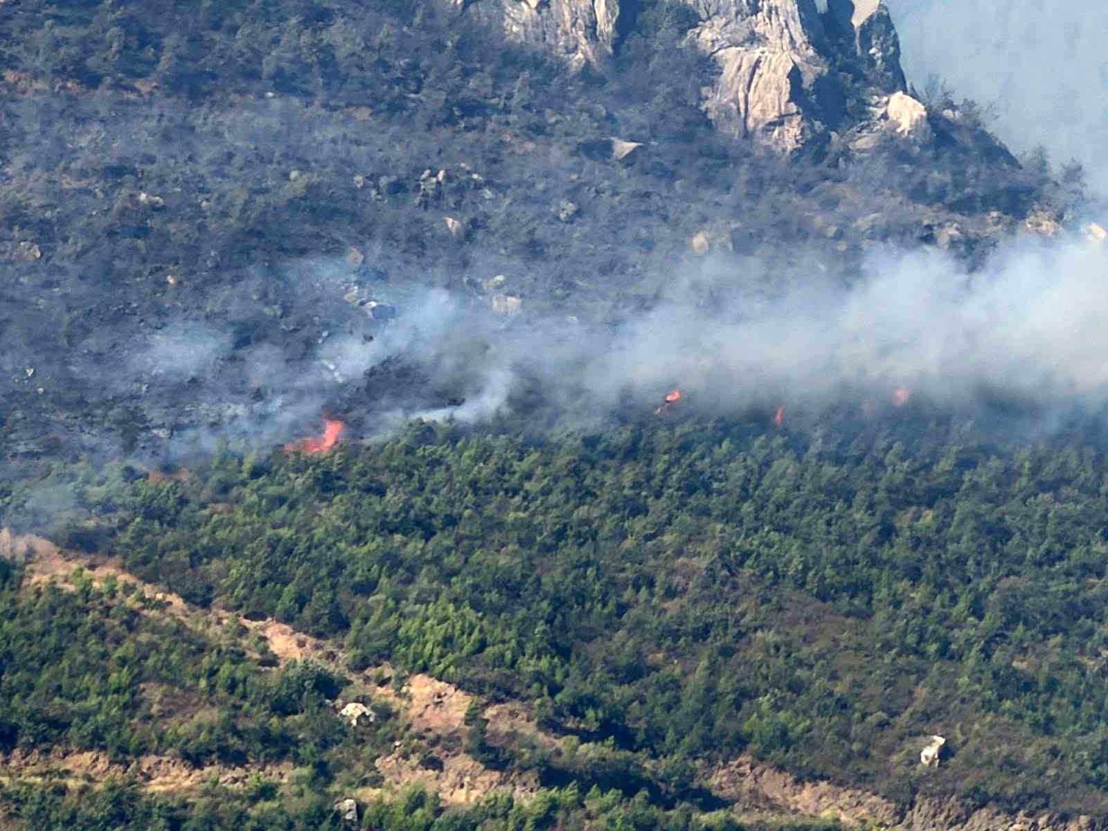 Alanya’da orman yangını sebebiyle 45 ev tedbir amaçlı tahliye edildi