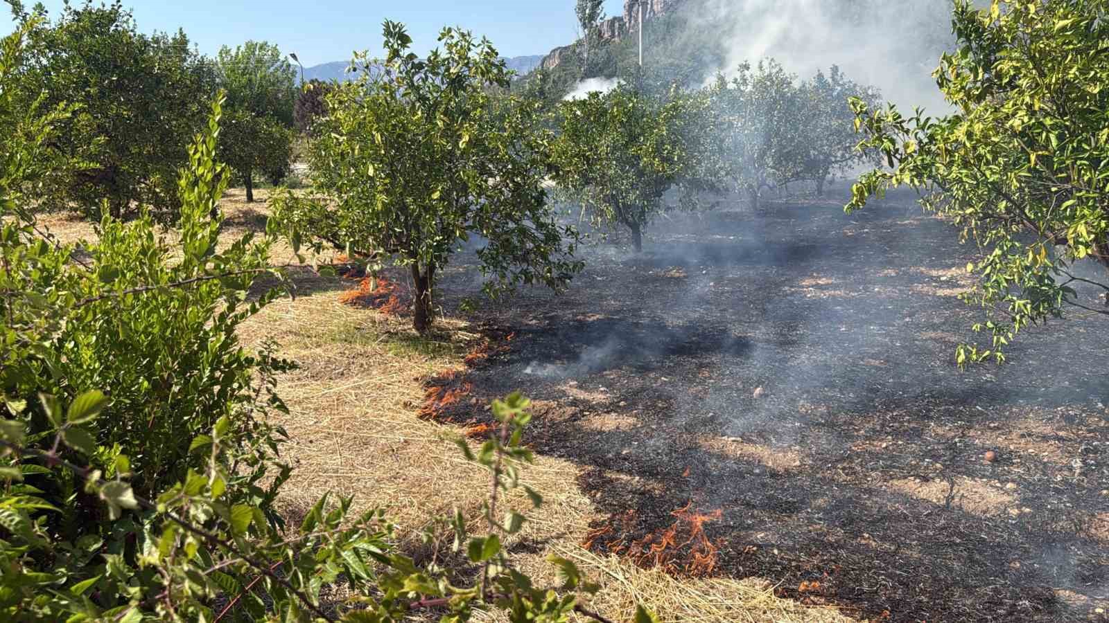 Marmaris’te otluk alan yangını