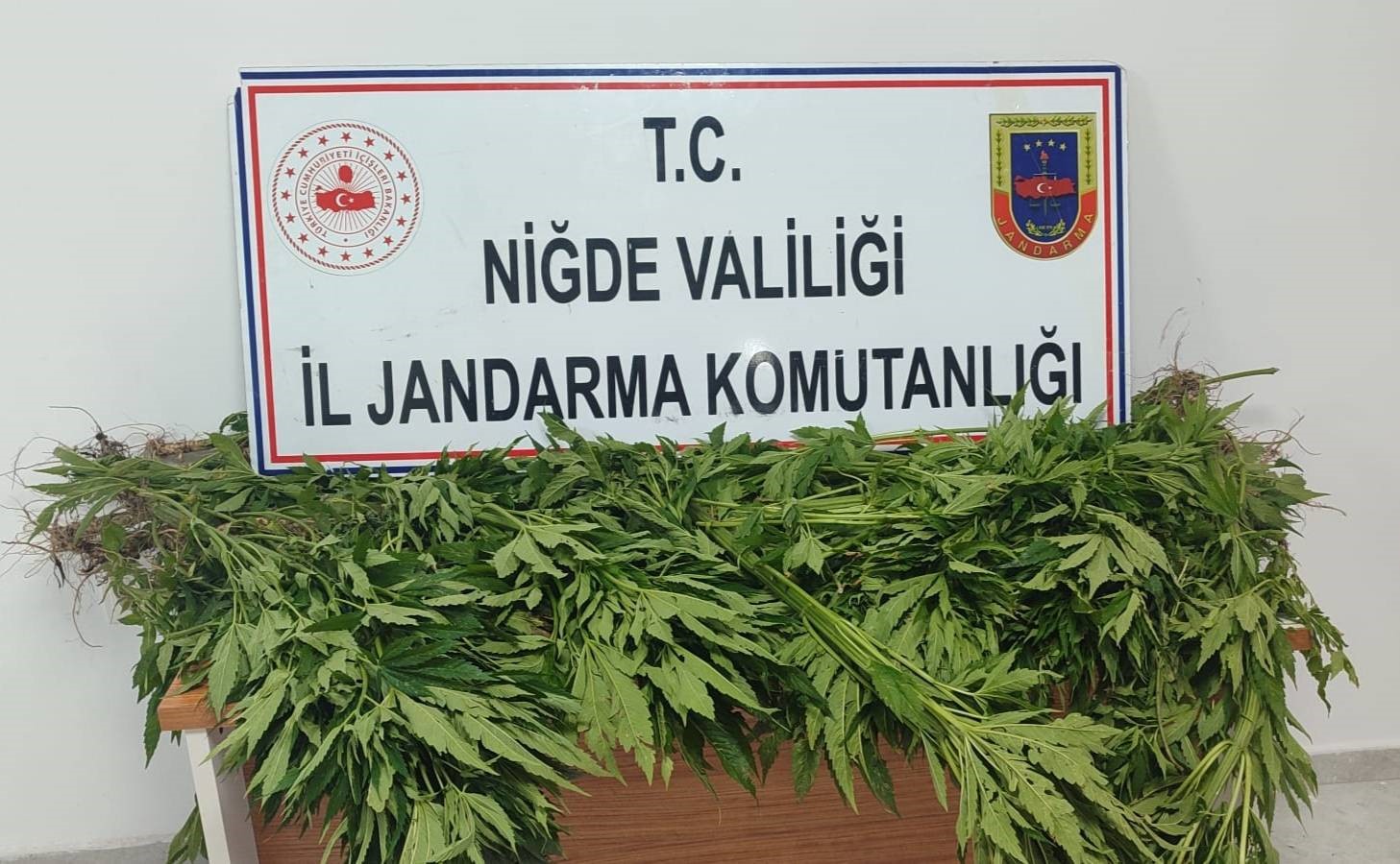 Tarlada ve evde arama yapıldı, uyuşturucu madde ele geçirildi