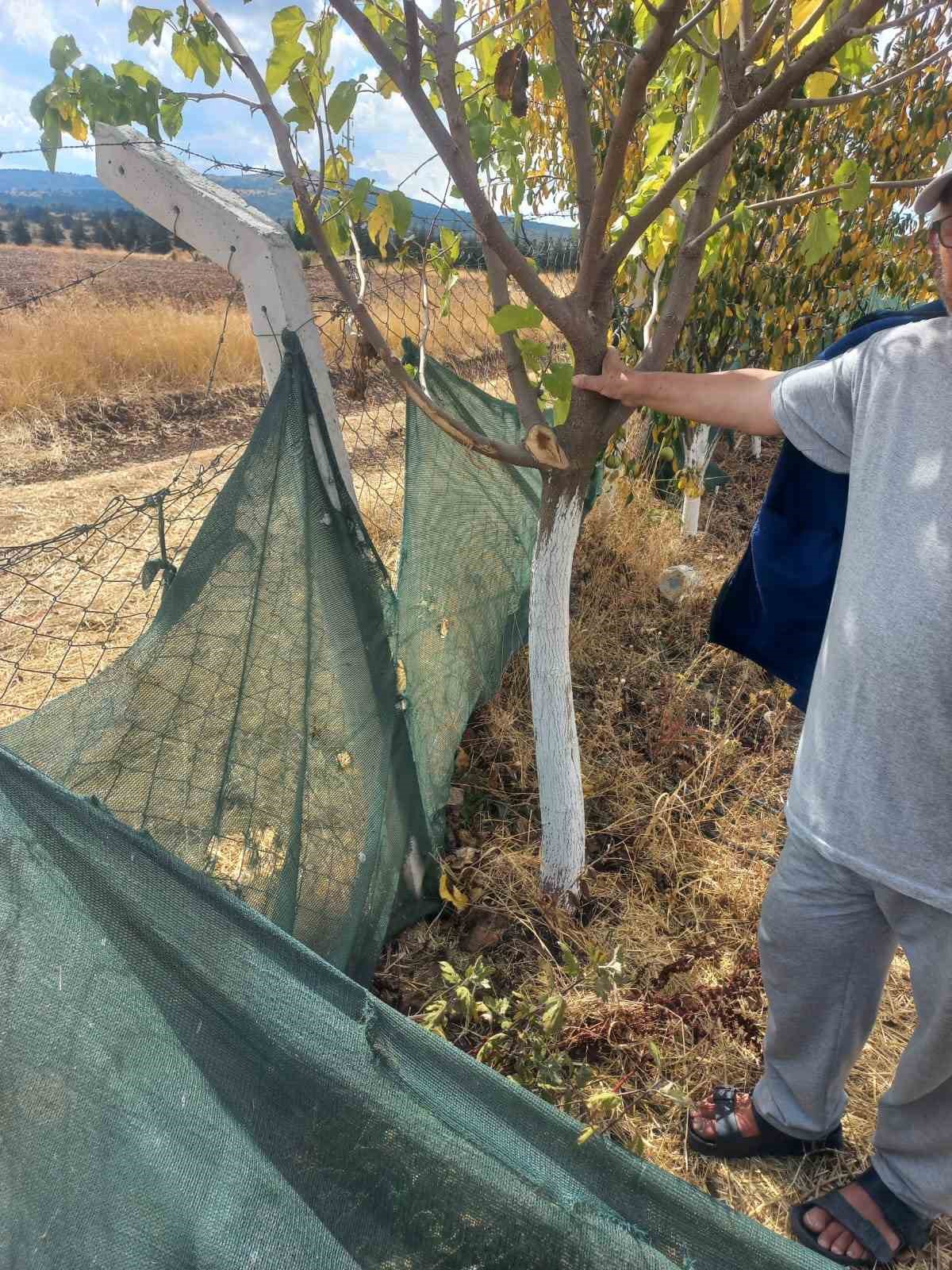 Kimliği belirsiz kişiler bahçe tellerine zarar verdi