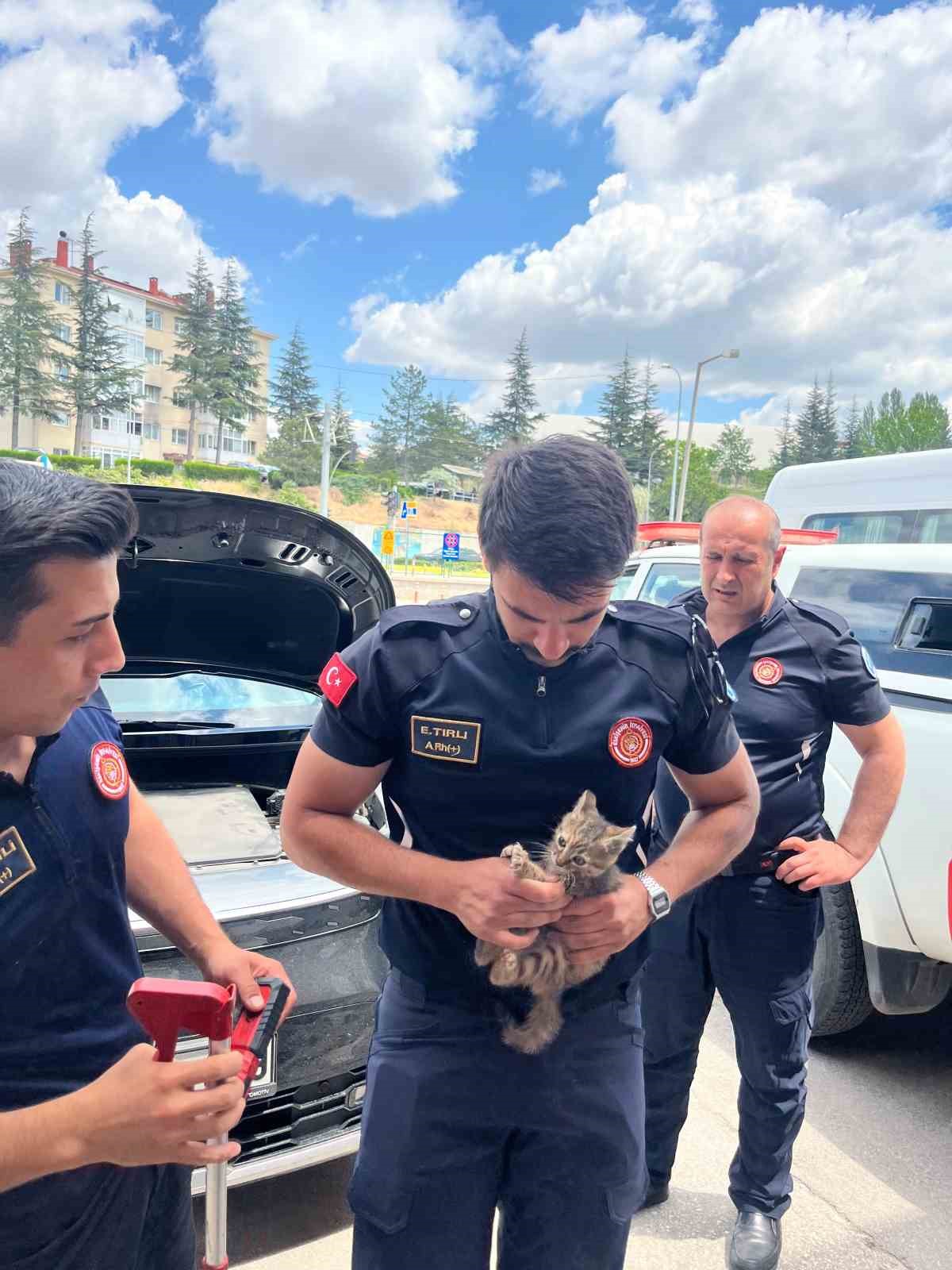 Eskişehir’de motor bölümüne sıkışan kediyi itfaiye ekipleri kurtardı