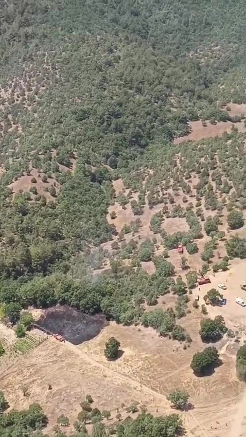 Bursa&rsquo;da orman yangınına havadan ve karadan m&uuml;dahale