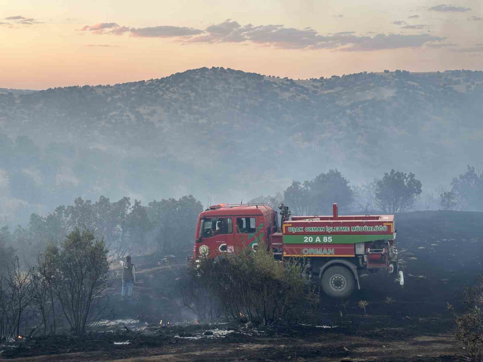 Uşak’ta meşelik ve makilik alanda yangın