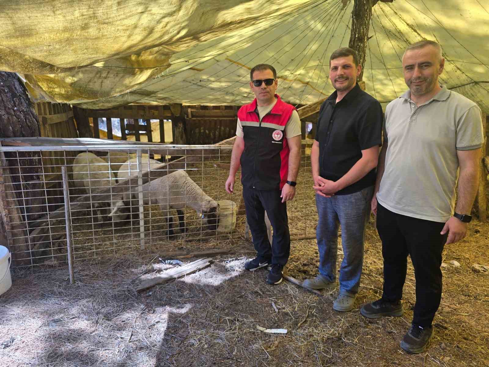 Orhaneli’de hayvan yetiştiren işletmeler kontrol edildi