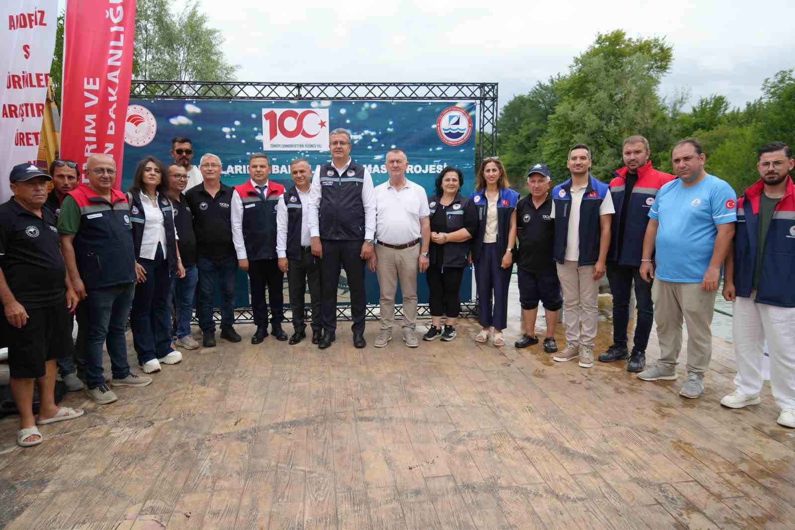 Yeşilırmak&rsquo;a 30 bin Mersin balığı yavrusu bırakıldı