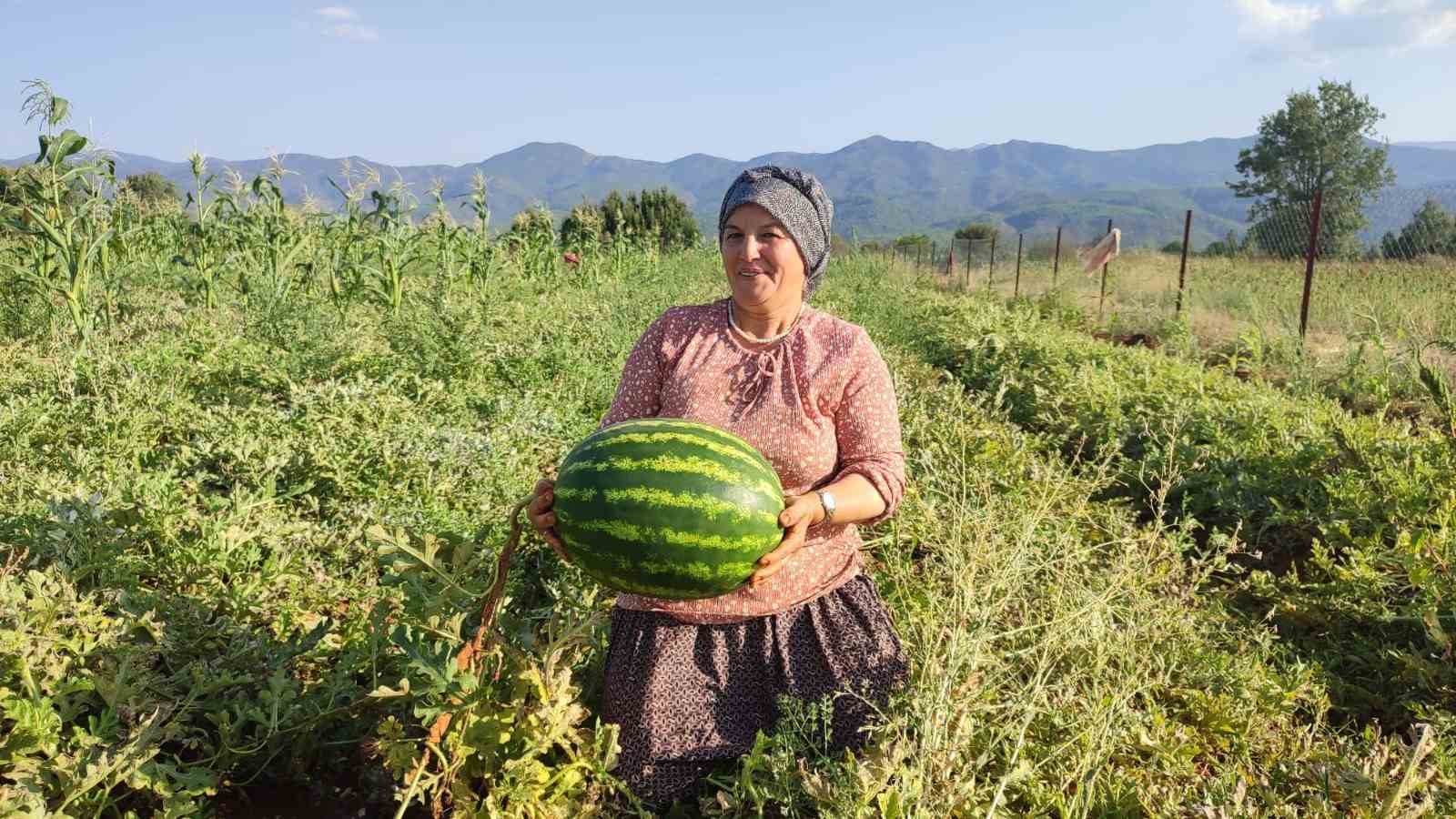 Beyağaç’ta ata tohumundan gelen bereket