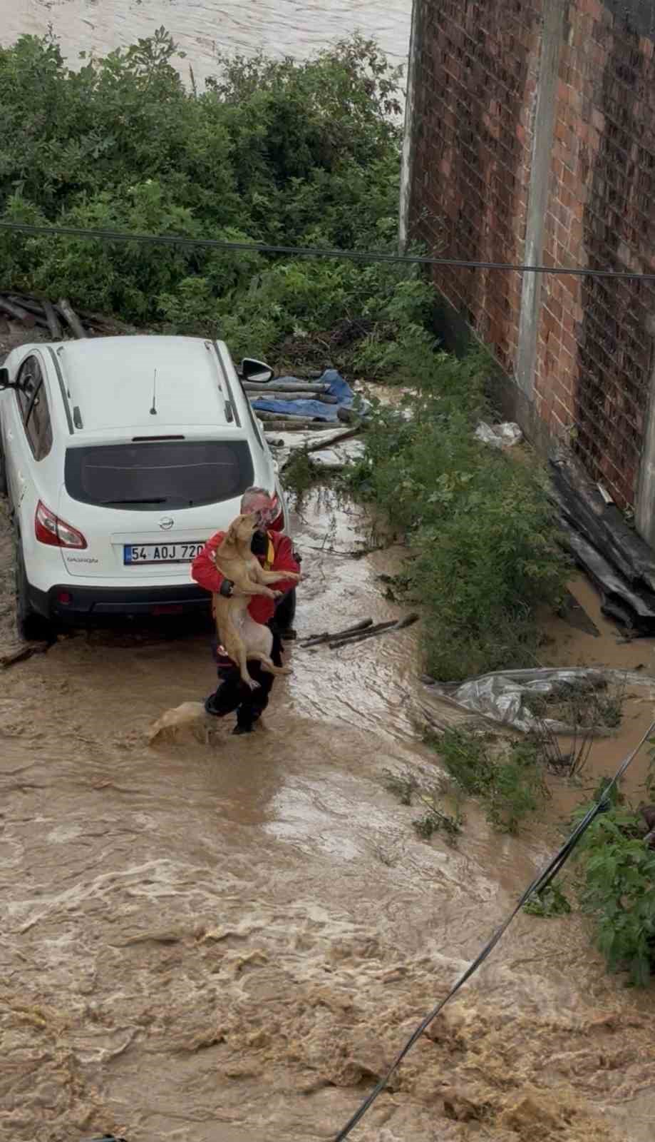 Selin esir aldığı mahallede ulaşım kep&ccedil;e ve trakt&ouml;rlerle sağlanıyor