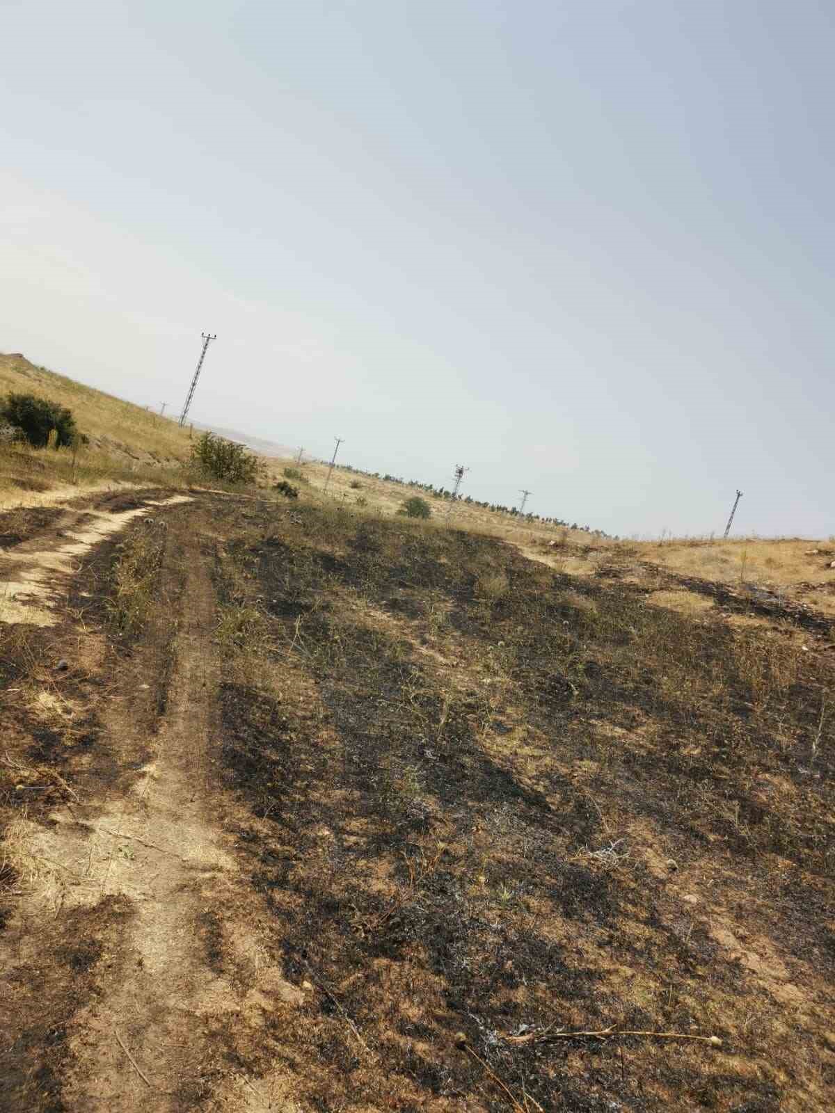 Van’ın Muradiye ilçesinde anız yangını