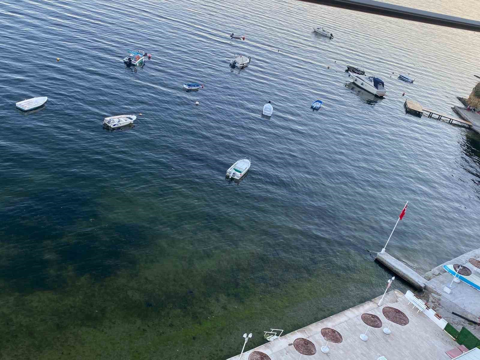 M&uuml;silajın ardından Gemlik K&ouml;rfezi&rsquo;nde sevindiren g&ouml;r&uuml;nt&uuml;ler