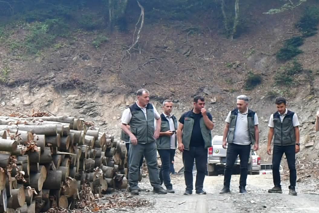 Bandırma Orman İşletme M&uuml;d&uuml;rl&uuml;ğ&uuml;ndeki &ccedil;alışmalar yerinde incelendi