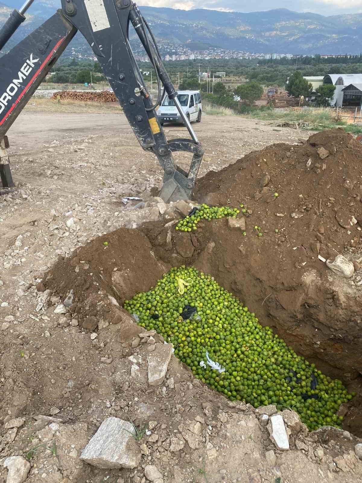 Bozdoğan’da hastalıklı ilekler imha edildi