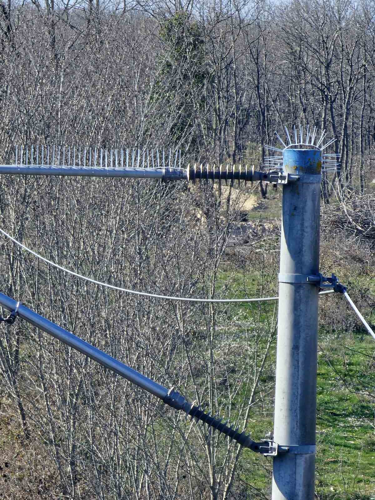TCDD&rsquo;den g&ouml;&ccedil;men kuşlar i&ccedil;in kapsamlı &ccedil;alışma