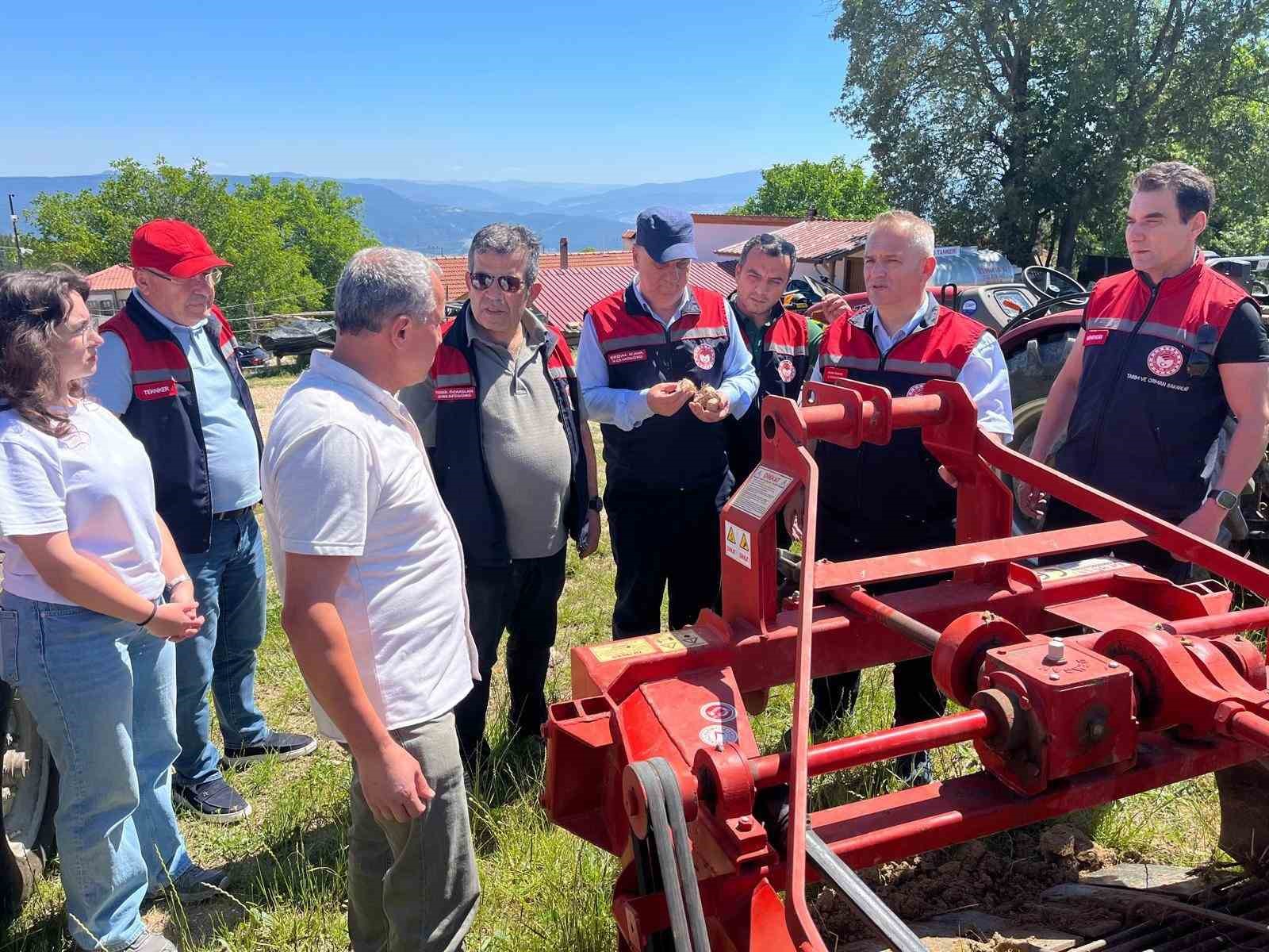 Karabük’te safran üretim alanlarında teknik inceleme yapıldı
