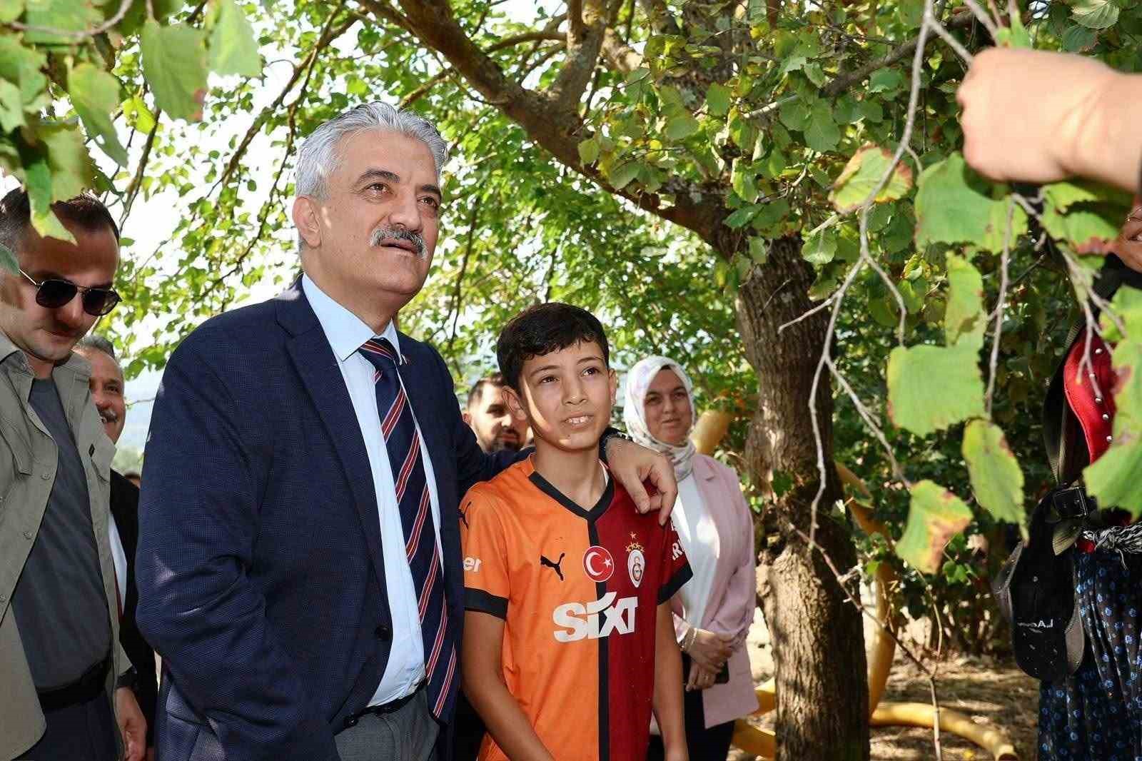 Vali Makas, Cumayeri’nde fındık hasadına katıldı