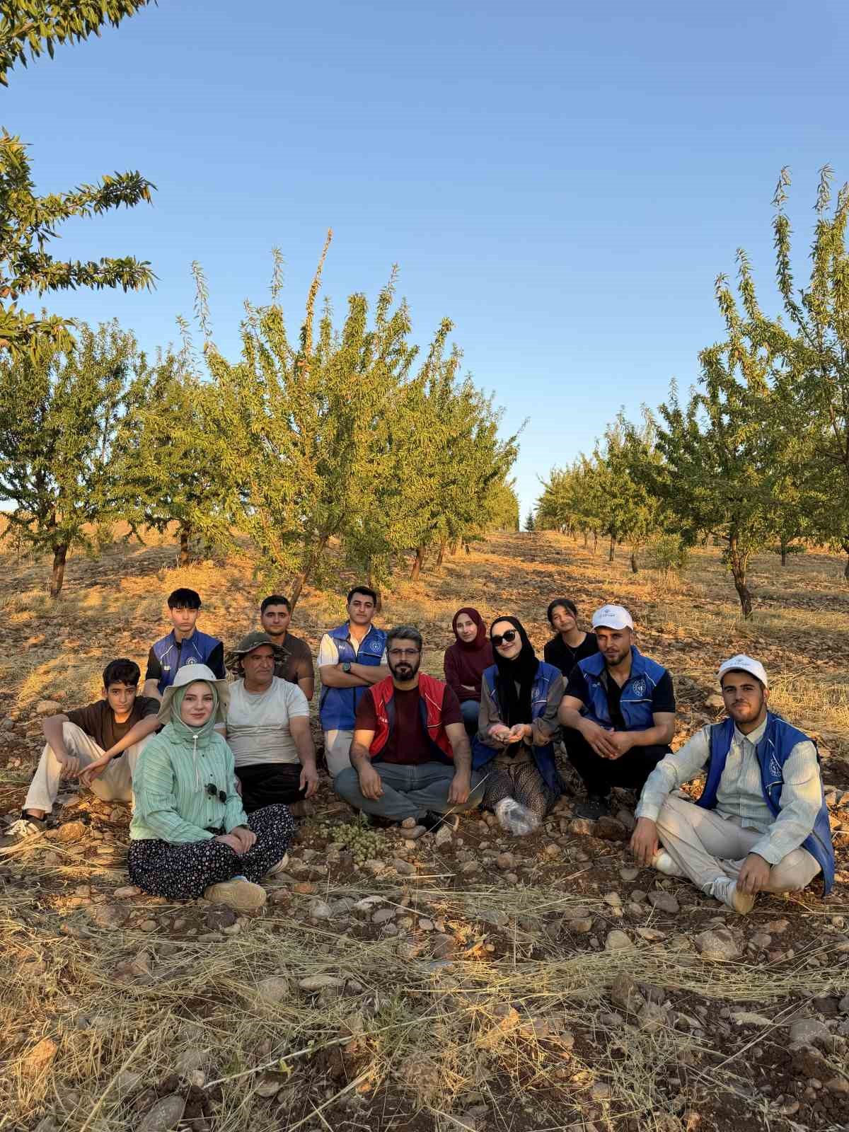 Kahta’da gönüllü gençler badem hasadına katıldı