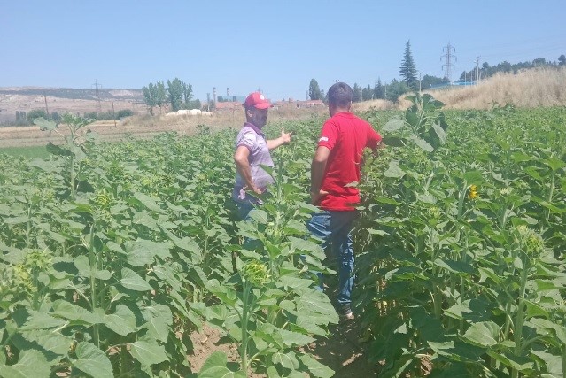 Tavşanlı’da üreticilere bitki besleme eğitimi