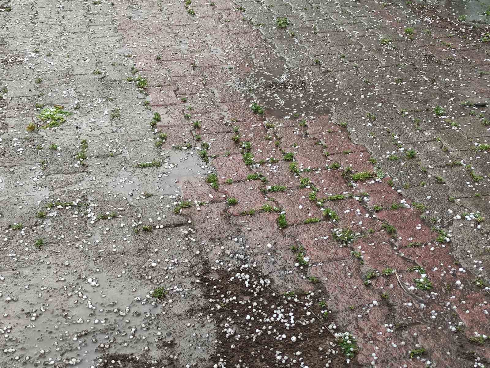 Ardahan&rsquo;da sağanak ve dolu yağışı tarım arazilerine zarar verdi