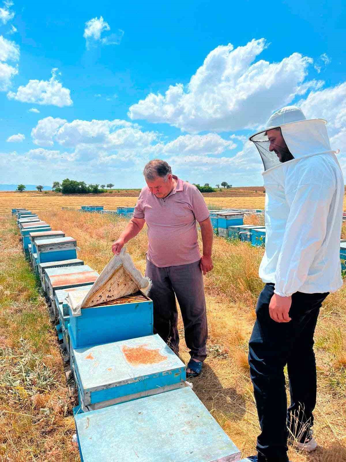 Arılı kovan desteği için işletme denetimleri sürüyor