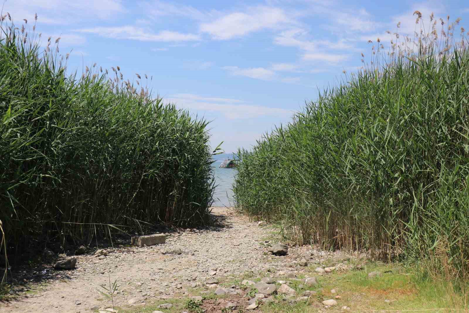 Sapanca G&ouml;l&uuml; riskli sınırı aştı ama tehlike ge&ccedil;medi