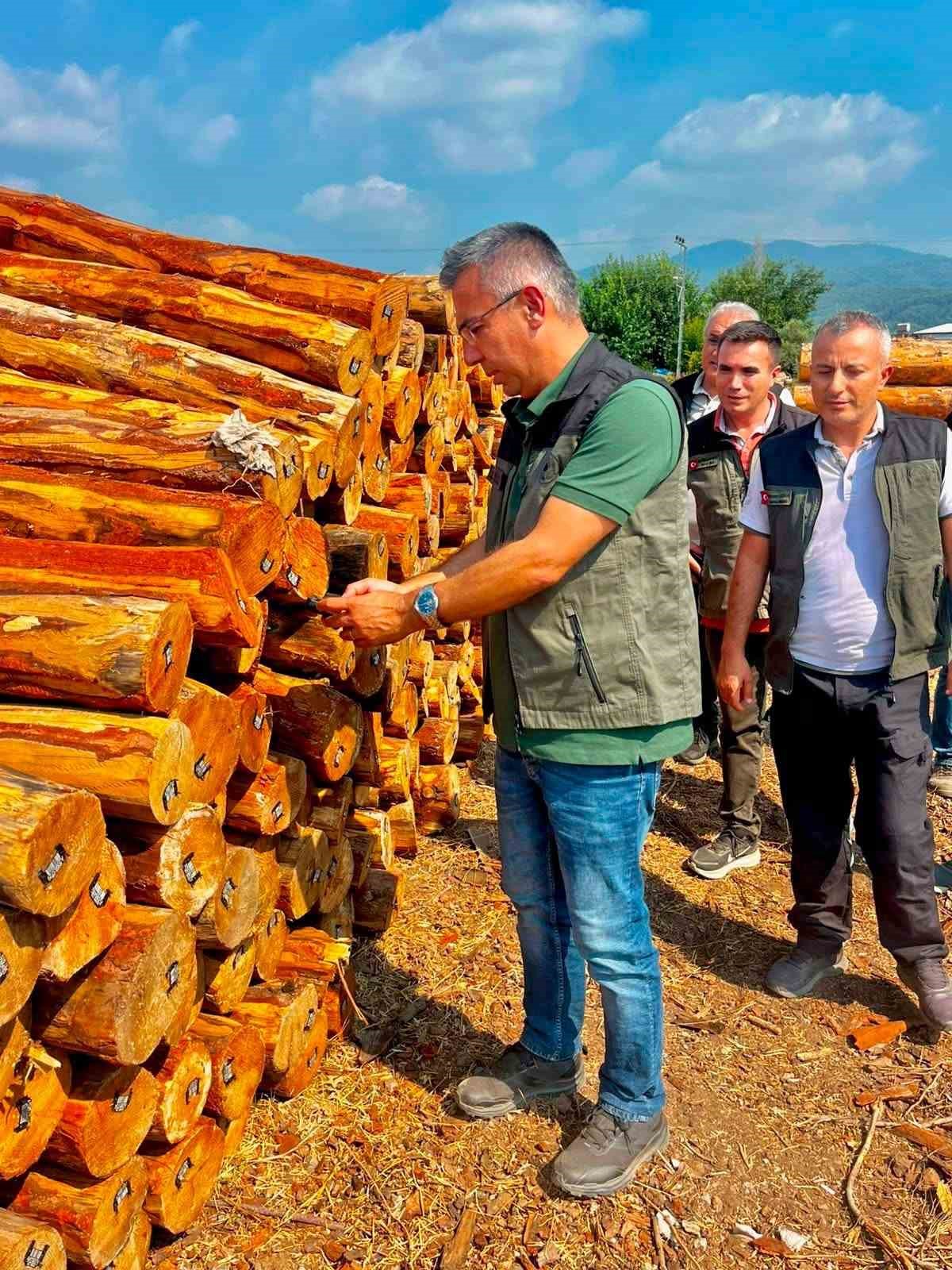 Dörtyol’da orman işletmesinin çalışmaları değerlendirildi