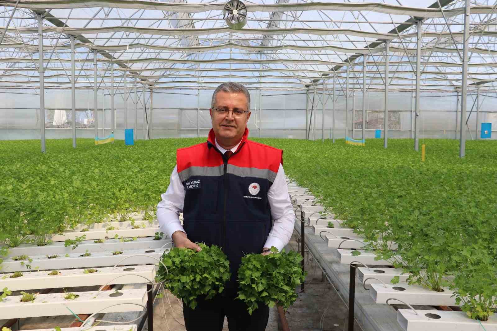 Samsun’da kırsal kalkınma yatırımlarına üreticilerden yoğun ilgi