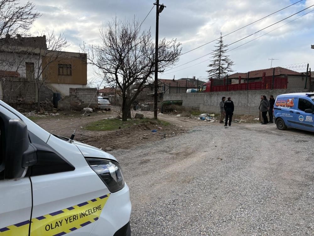 Sokak hayvanları saldırısında büyükşehir belediyeleri ve valilikler de sorumlu