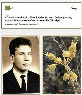 Anadolu &Uuml;niversitesi&rsquo;nden d&uuml;nya literat&uuml;r&uuml;ne iki yeni endemik t&uuml;r