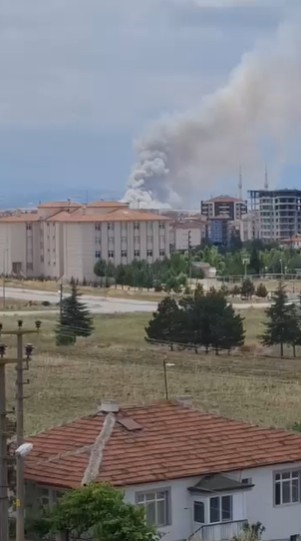 Arazi yangını köy sakinlerinin müdahalesiyle kontrol altına alındı