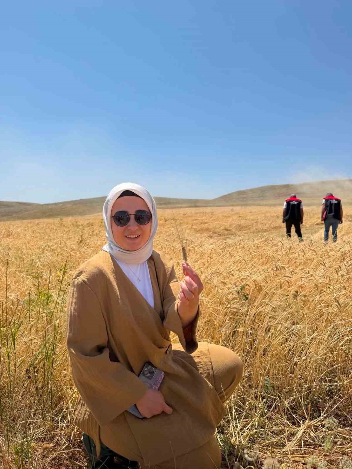 &Ccedil;izmeli Kaymakam bu kez tarlada