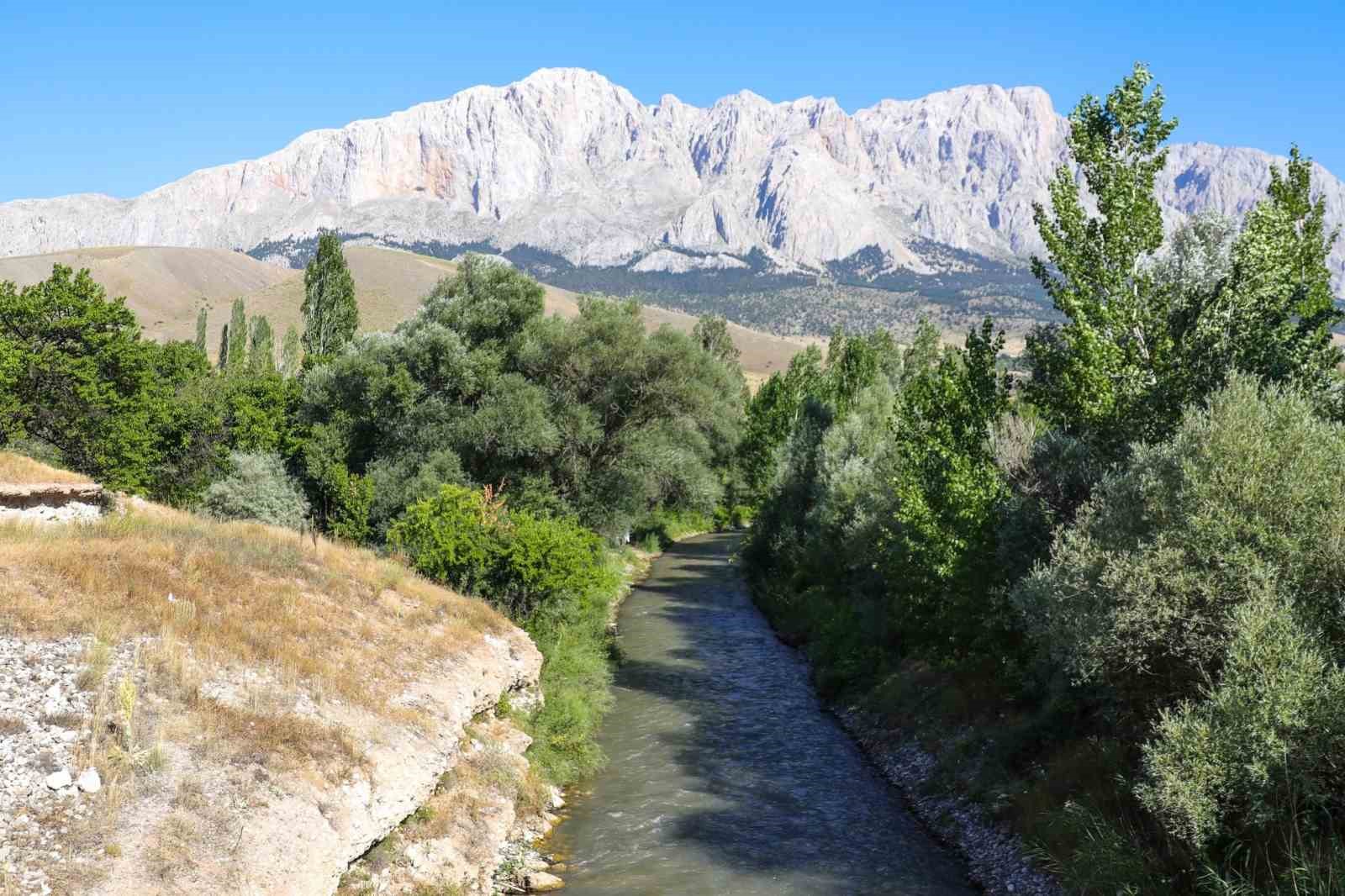 Ecemiş Çayı’na 15 bin alabalık yavrusu bırakıldı