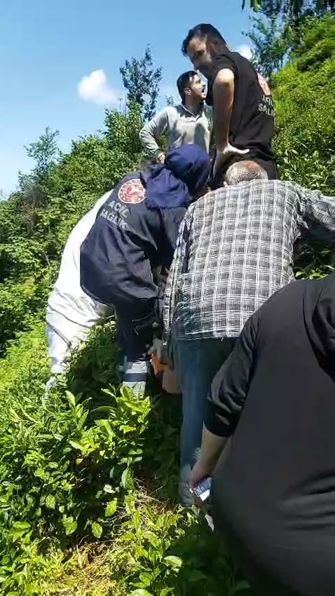 Kiraz toplamak için çıktığı ağaçtan düştü