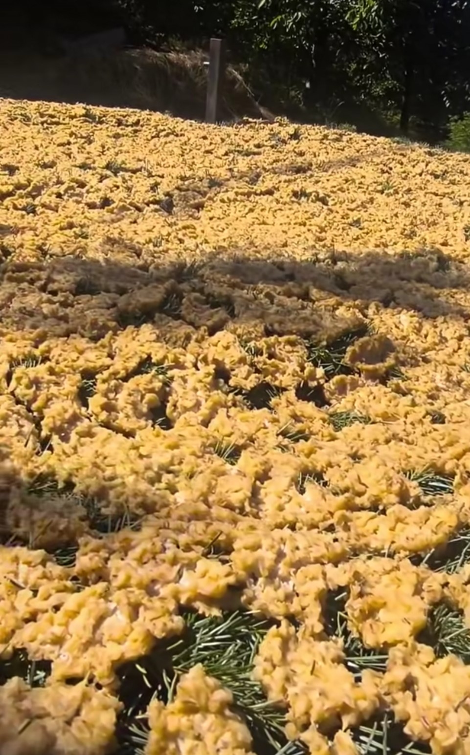 Kahramanmaraş&rsquo;ta tarhana mesaisi