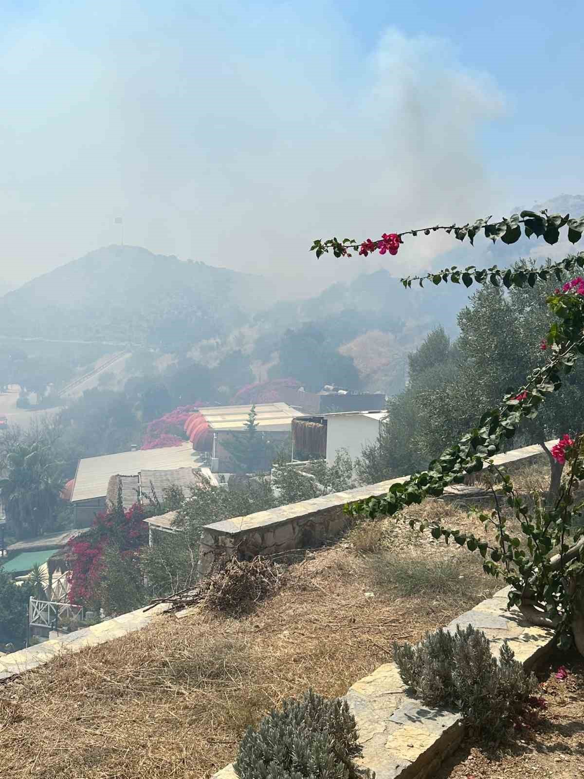 Rüzgar alevleri büyüttü, Gümüşlük’teki yangın kontrol altına alındı