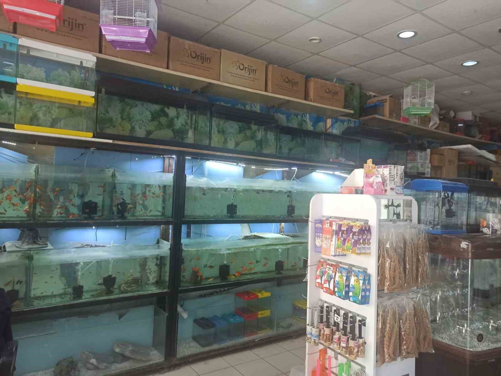 Kütahya’da ev hayvanı satış yerlerinde denetim