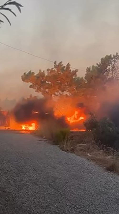 Alanya’da çalılık alanda çıkan yangında bir araç ve ev hasar gördü
