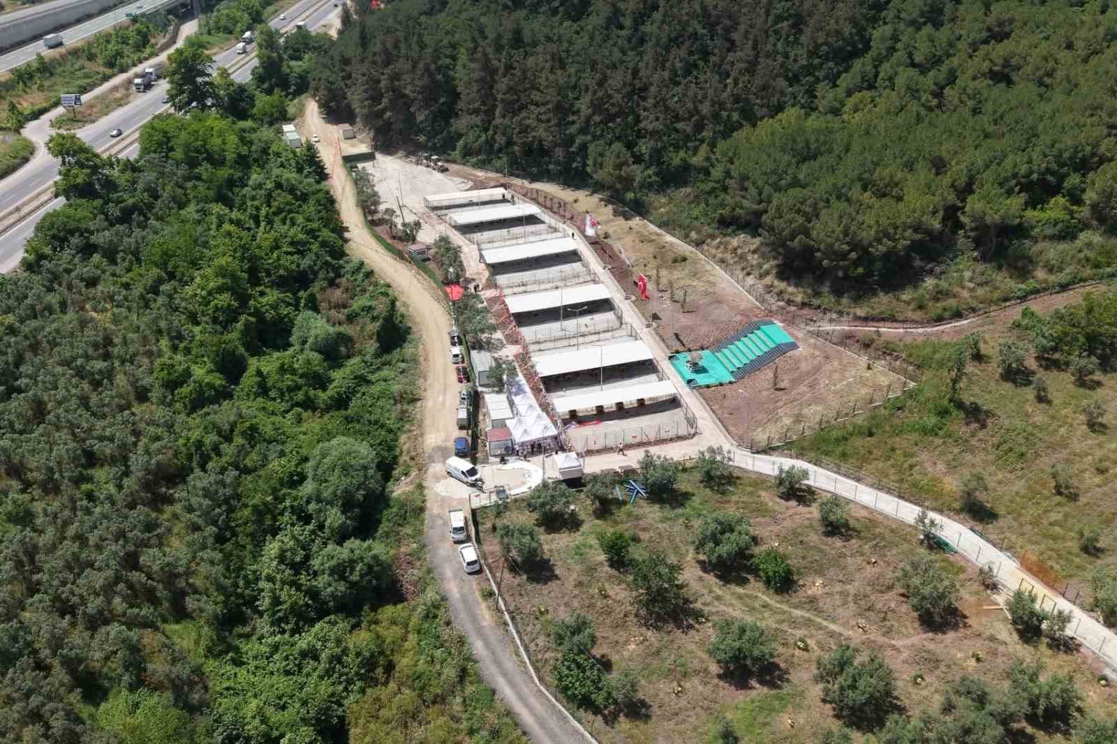 Bursa Hayvan Hakları Platformu’ndan Gemlik Belediyesi’ne tepki: "Kapıları açın"