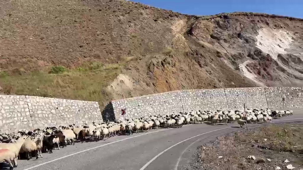 Erzurum&rsquo;da g&ouml;&ccedil;erlerin zorlu "Kışa d&ouml;n&uuml;ş" mesaisi başladı