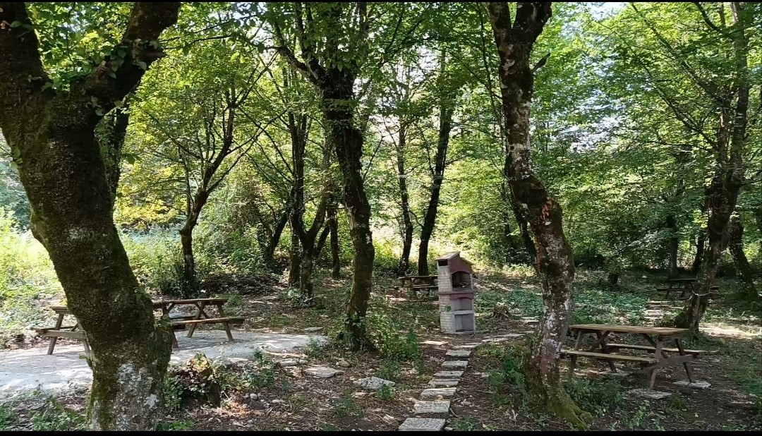 BAR&Uuml;&rsquo;l&uuml; akademisyenlere &ouml;zel piknik alanı