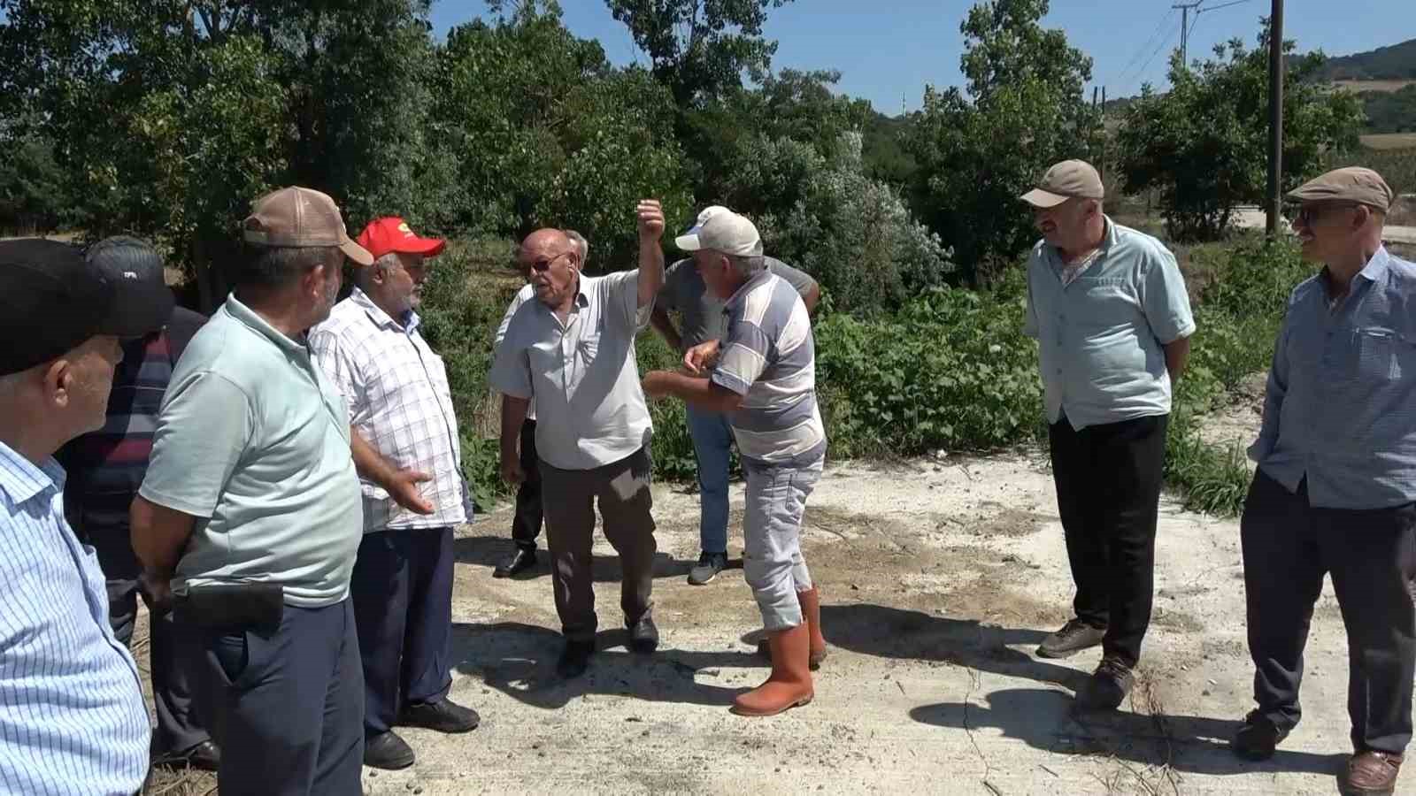 Samsun’da derede toplu balık ölümleri: Mahalleli kalıcı çözüm istiyor